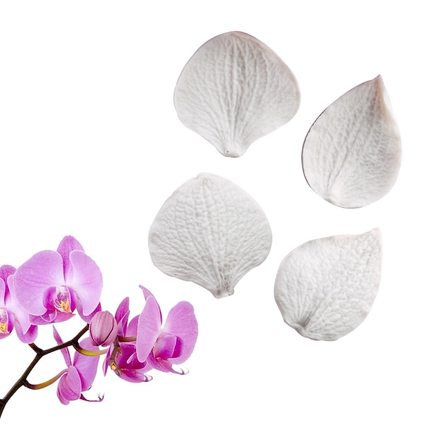 Phalaenopsis Hydrangea Leaf Double-sided Compression Mold Fondant Cake Silicone Mold #7933850